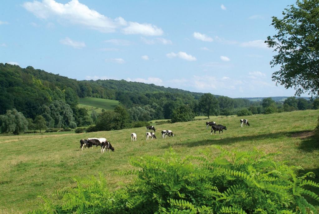 Klein Zwitserland Slenaken Oda fotoğraf